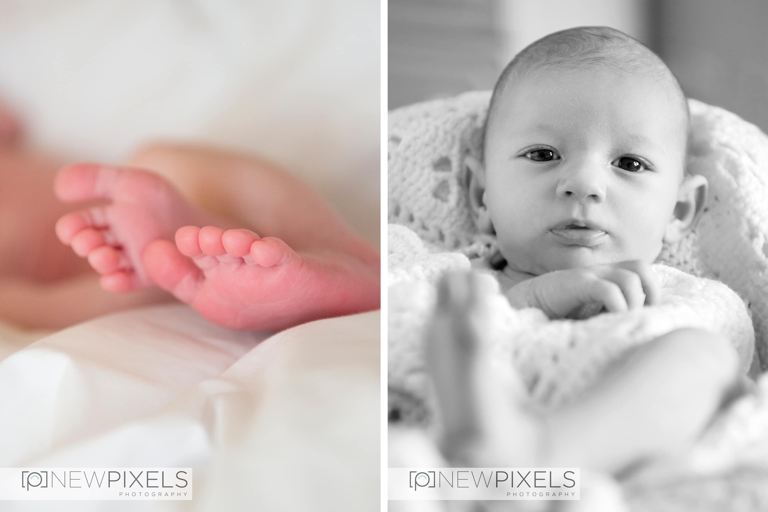 baby photography in Barnet