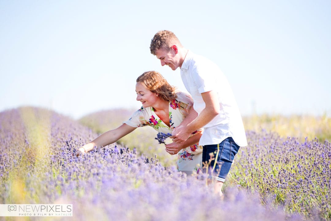 Hitchin Lavender Field Photo Shoot, Engagement Session