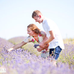 Hitchin Lavender Field Photo Shoot, Engagement Session